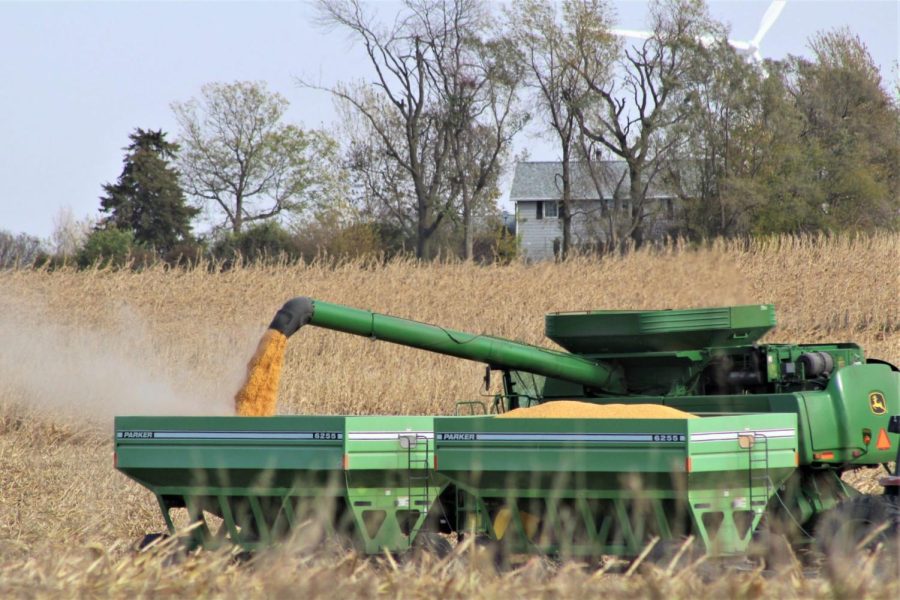 A farmer harvests corn near Slater, Iowa. on Oct. 17, 2020. 