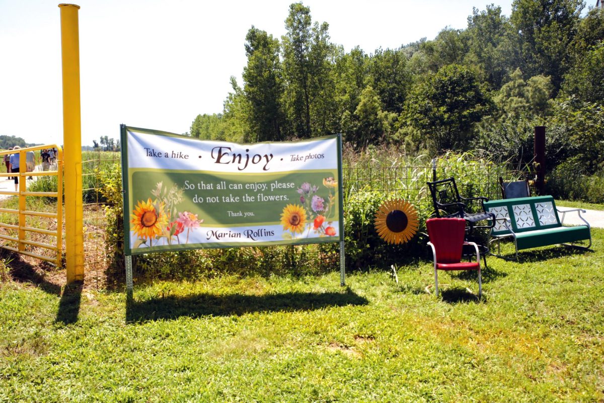 Thousands of sunflowers were planted by Tom Rollins on his property at Cliff Cave Park in honor of his wife, Marian, who was diagnosed with dementia in 2017. Rollins hopes the fields that he calls ‘Marian’s Place,’ pictured above, can provide a place of health and healing for the community. 