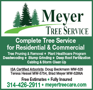 Meyer Tree Service 300x300