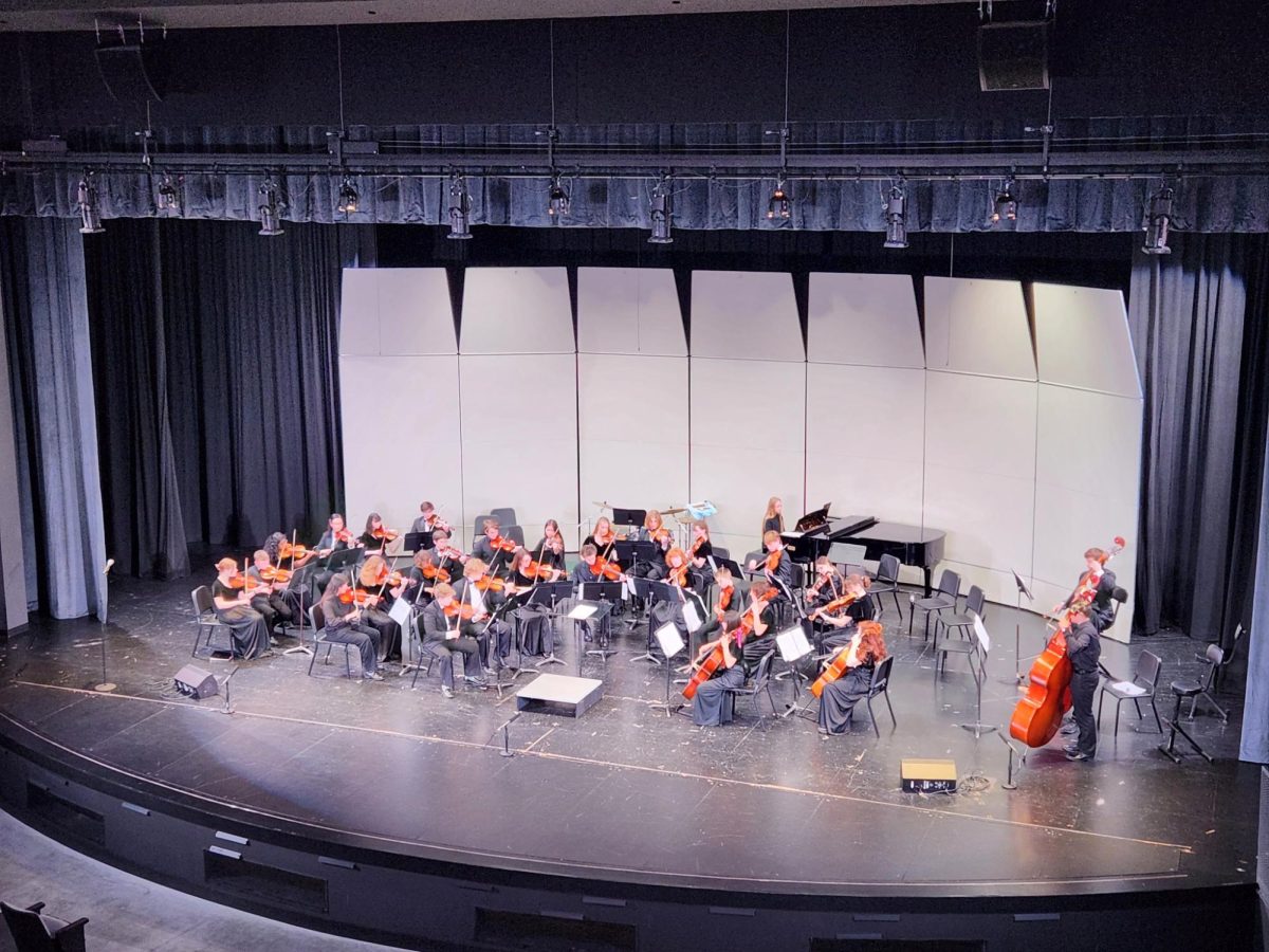 LHS Orchestra joins Stuttgart’s Die Telemanner for milestone concert
