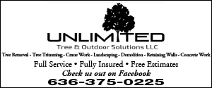 Unlimited Tree & Outdoor Solutions_300x125