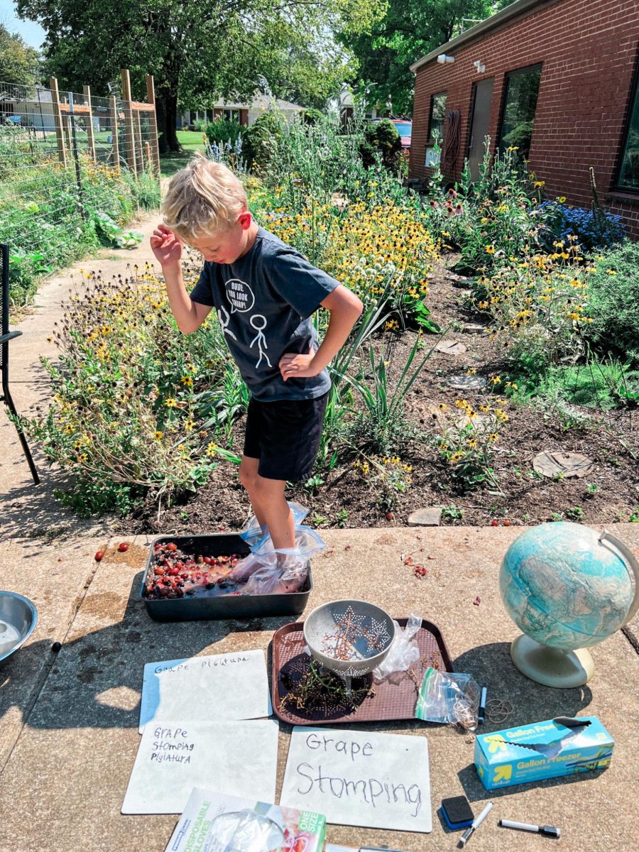 Grape stomping