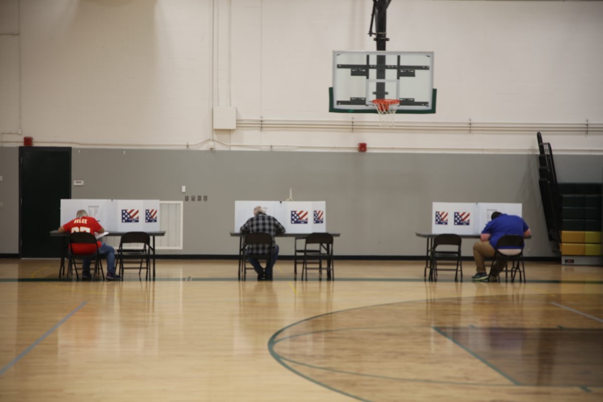 Residents vote in the 2024 general election at Lindbergh High School, 5000 Lindbergh Blvd. 