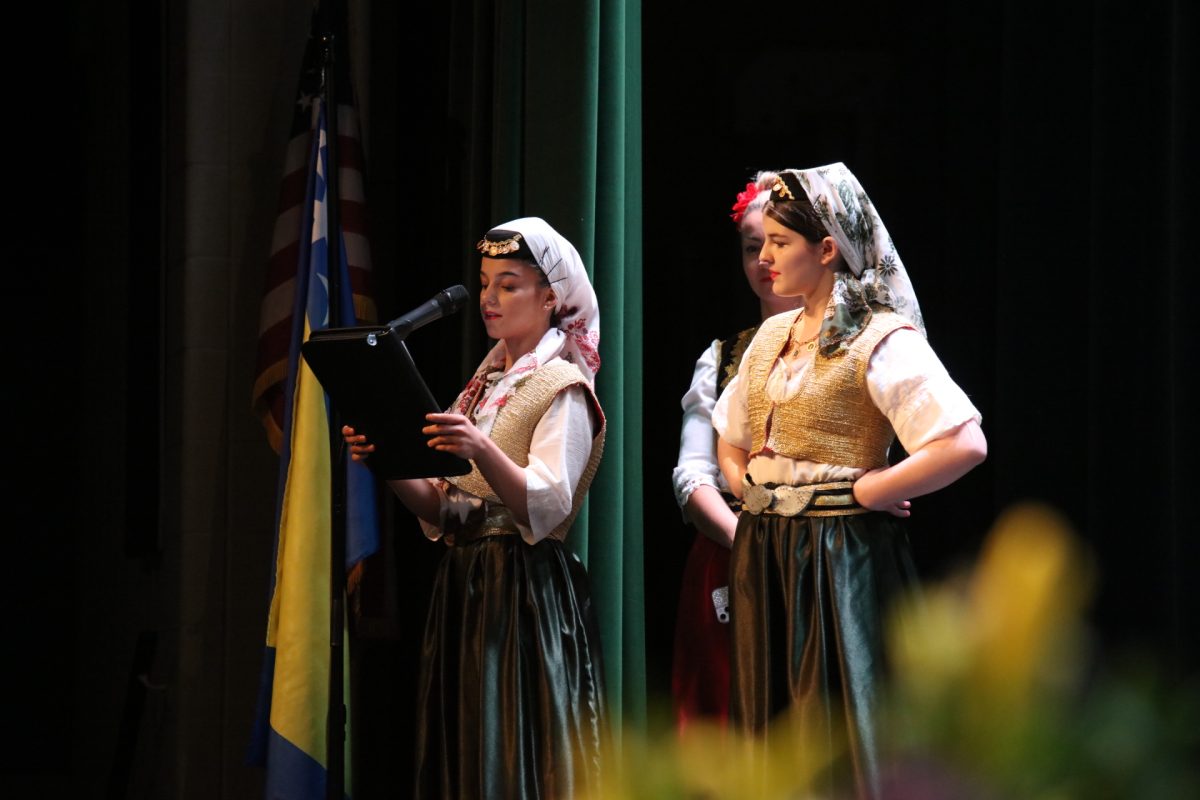 An introduction was given before the Bosnian dance performance.  