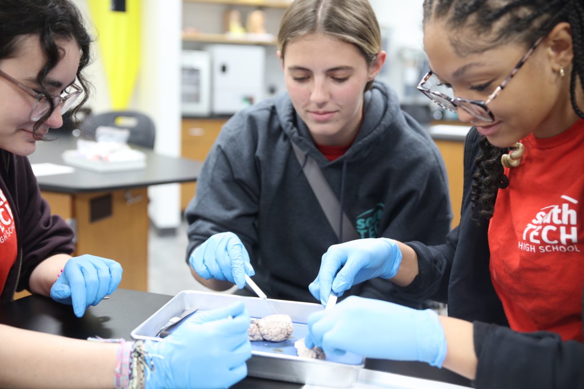 Students disect an organ.