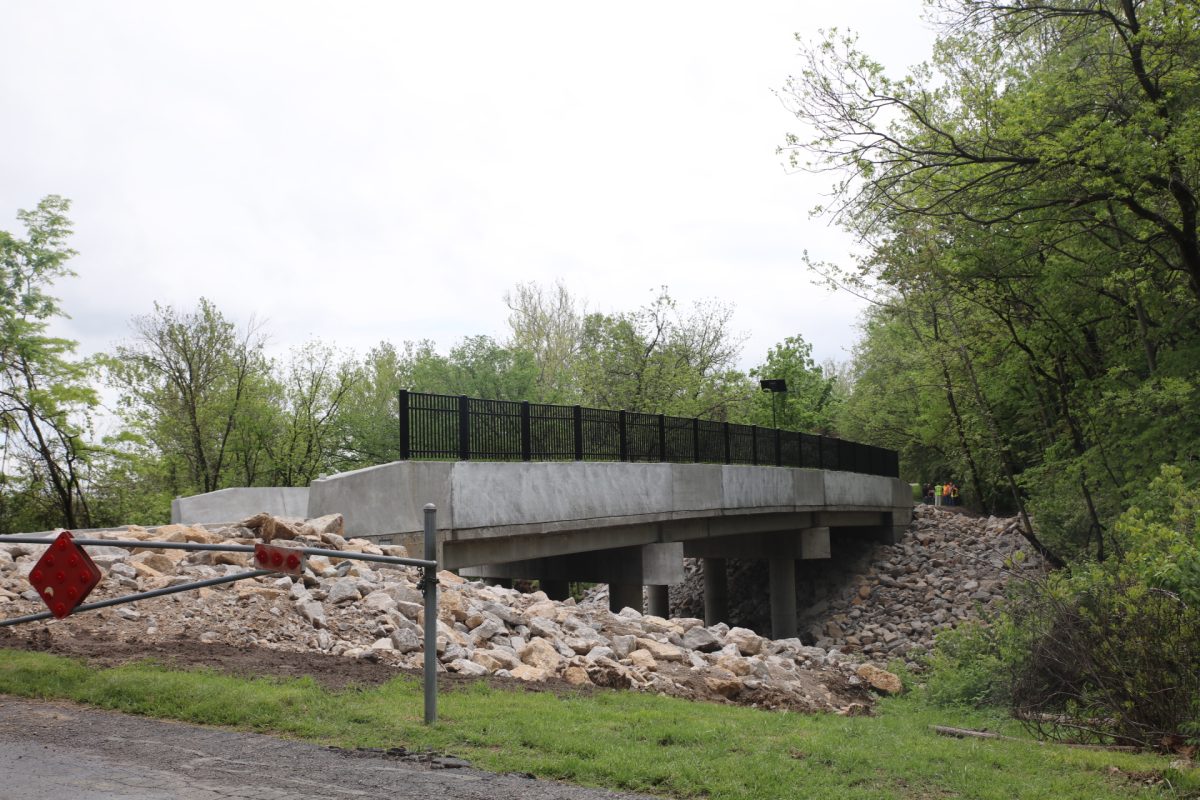 The new bridge at Whitecliff Park.