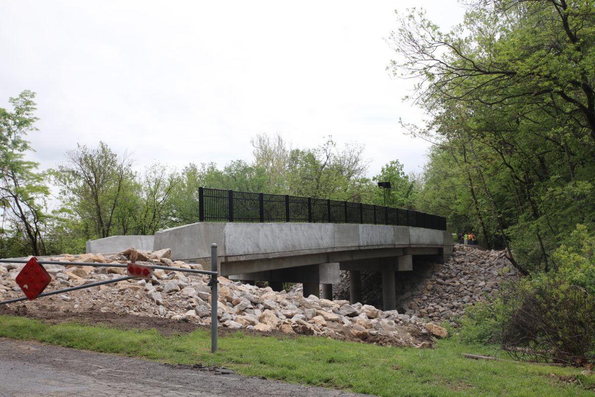 The new bridge at Whitecliff Park.