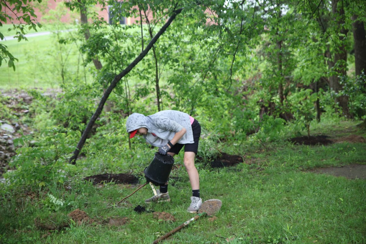 A young volunteer dumps a tree out of its pot, preparing to plant it.
