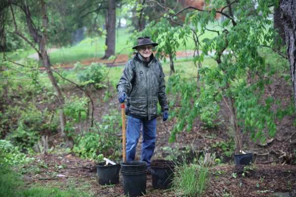 Community plants trees, shrubs at Crestwood Park