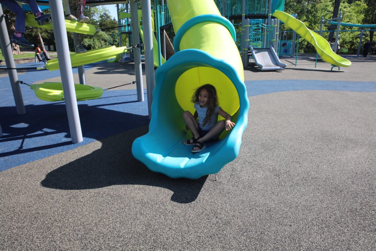 Crestwood Ward 4 Alderwoman Megan Gadallah's daughter Maya slides down one of the new slides.