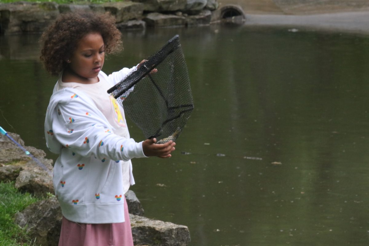 A young girl catches a fish in a net.