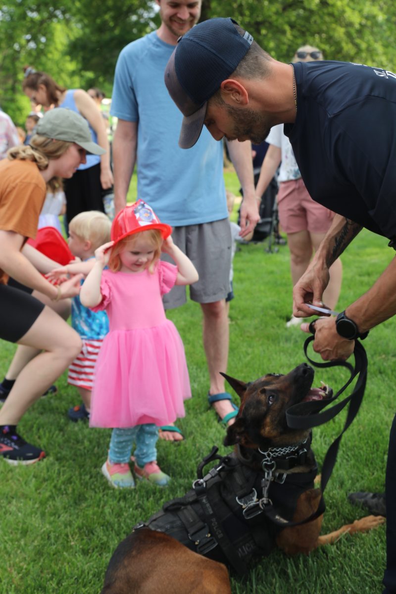 A girl meets a dog from the K-9 unit of the police department.