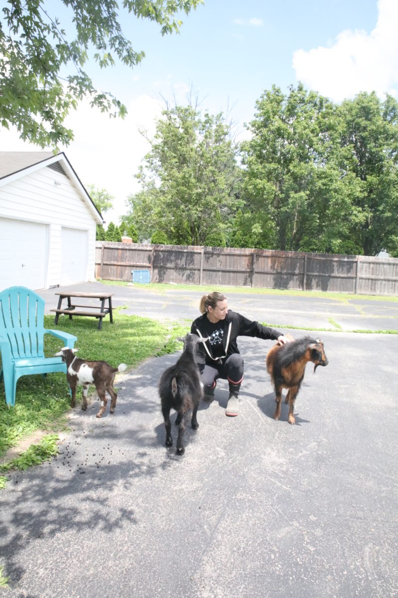 Hannah Pauk pets her goats in her backyard on Kerth Road.