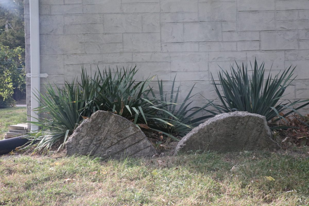 These stones are part of a historic mill, says SCHS member Stephen Hanpeter.