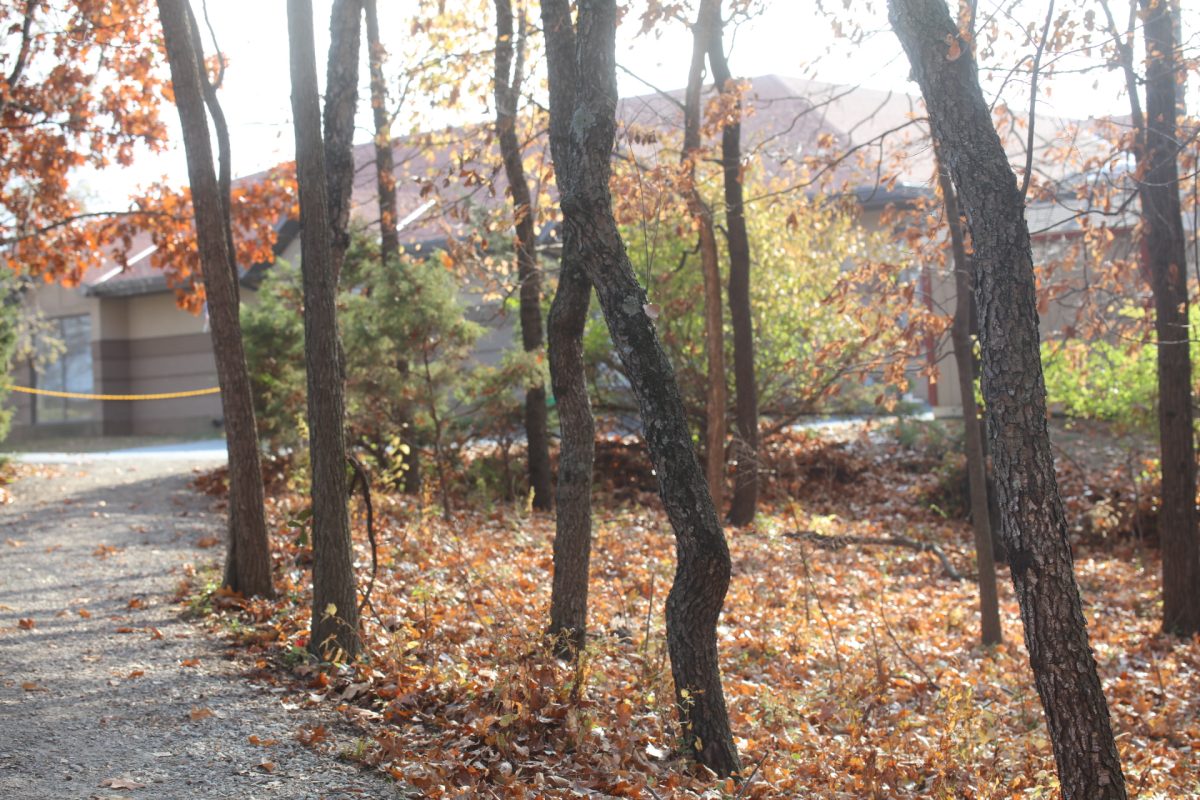 Mehlville's outdoor classroom is located behind the John Cary Early Childhood Center, 3155 Koch Road.