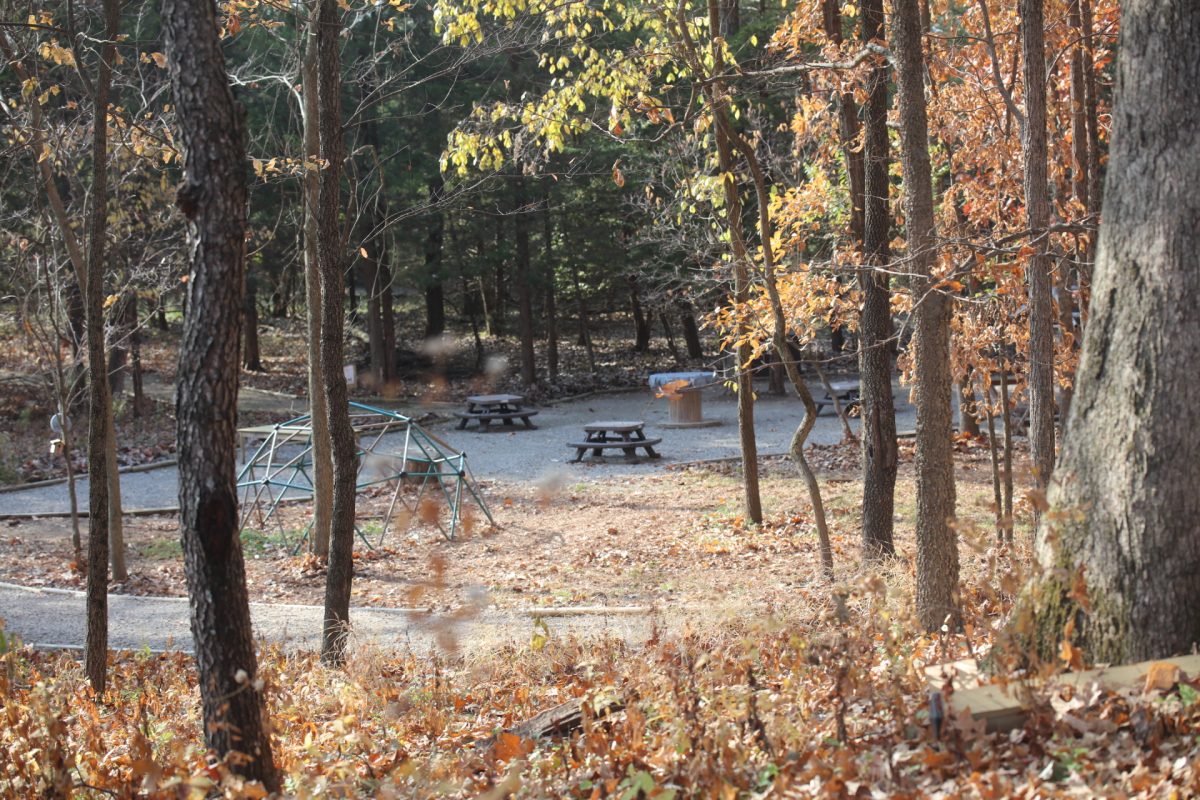 The outdoor classroom has both an upper and lower learning area, pictured above.