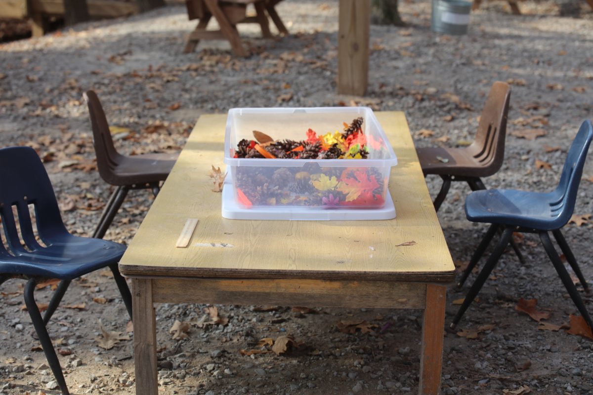 Sensory bins, like the autumn-themed one pictured above, support fine motor skill development. 