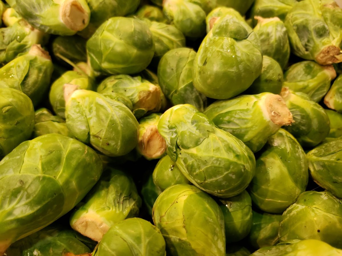 2025 Home for the Holidays Contest: Scintillating Side Dishes