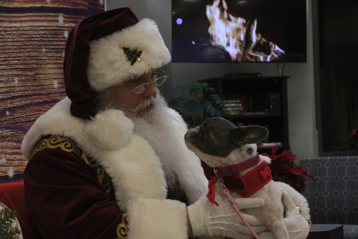 Santa holds Lee the dog, preparing for a photo. 