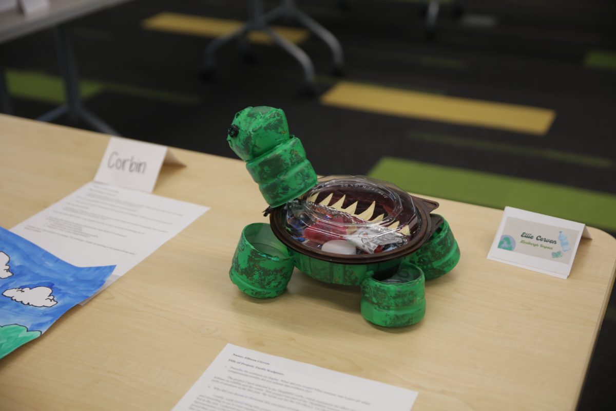 Sophomore Elliana Cerven's favorite project of the semester: a turtle constructed from garbage to correspond with the class’s trash seminar. Half of the turtle was filled with candy wrappers to show litter’s negative impact on wildlife.