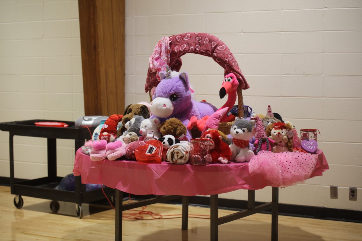 At the Sweetheart Dance, girls had the chance to play a Valentine's-themed bingo game, and each girl got to collect a prize from the prize table when they won.