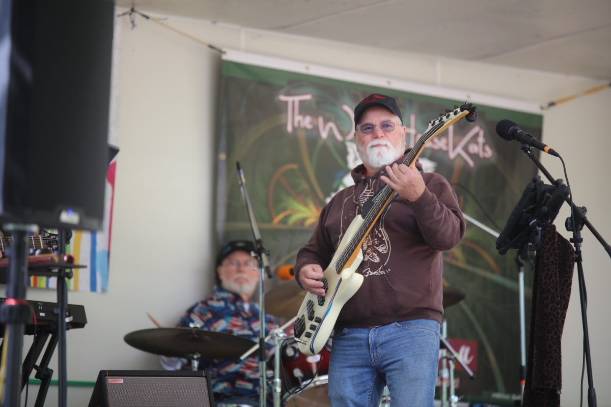 An electric guitarist for The Wild HouseKats plays to a small crowd at the Sunset Hills Makers Market on May 2.