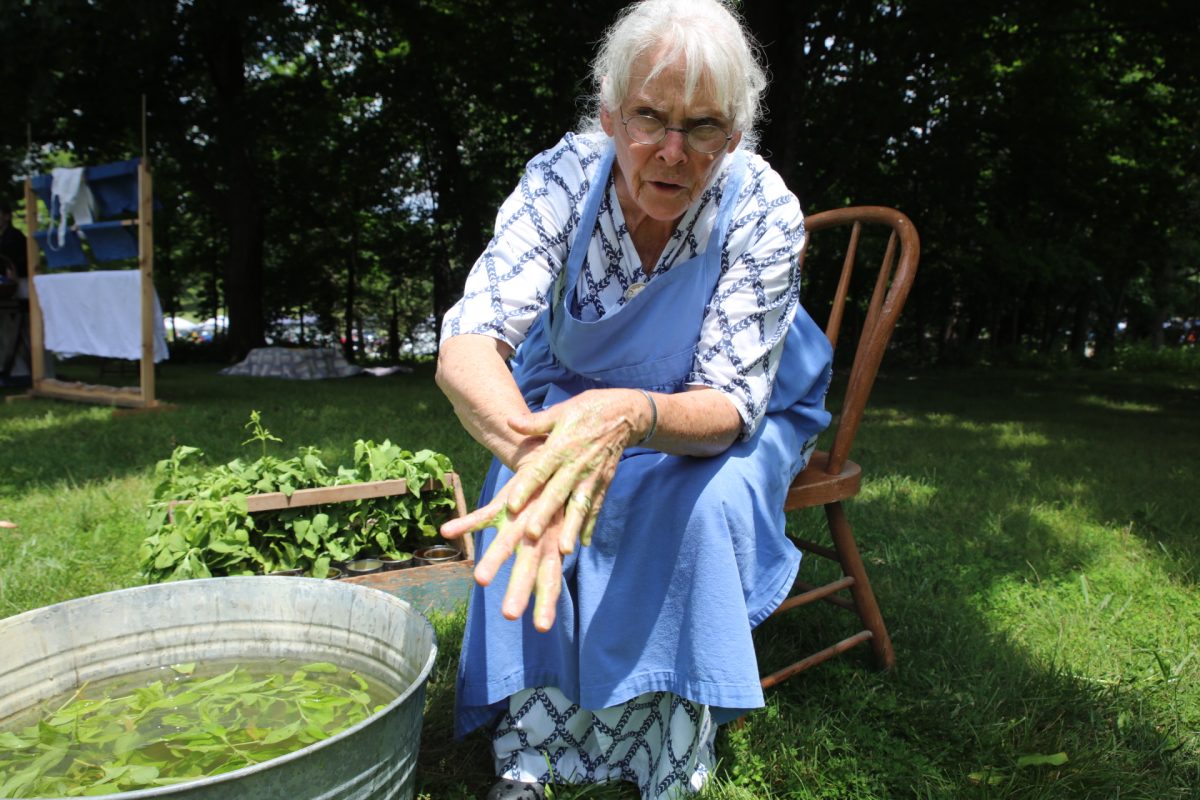 A closer look at Kornblum teaching St. Louis Area History Showcase attendees how to wash with soapwort. "The green is chlorophyll. Chlorophyll kills germs, so your hands are not just clean, they're also sanitized," she shared.