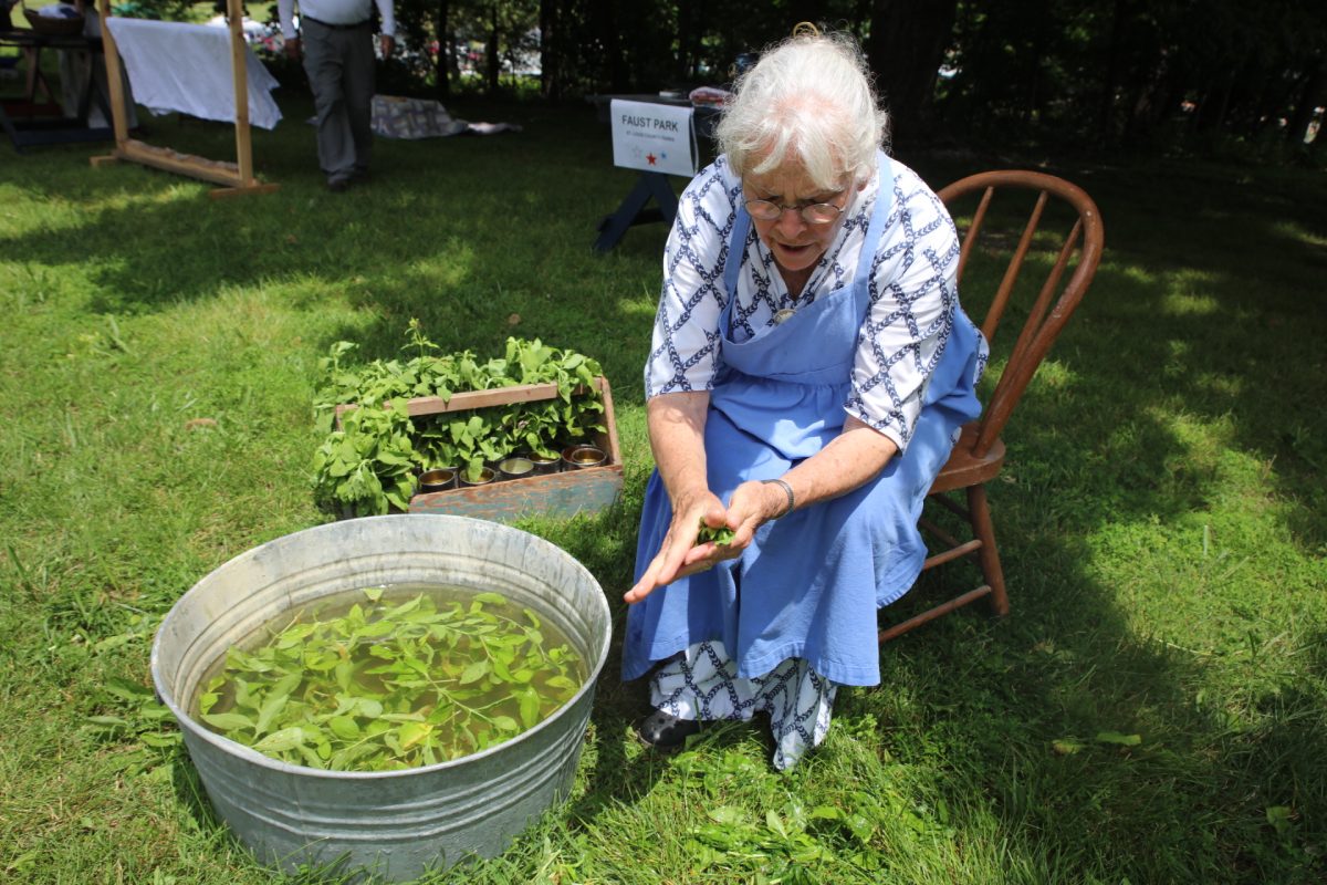 The St. Louis Area History Showcase featured various historical demonstrations. Pictured above, Micha Kornblum, a museum guide at Faust Park, teaches attendees how to wash with soapwort.