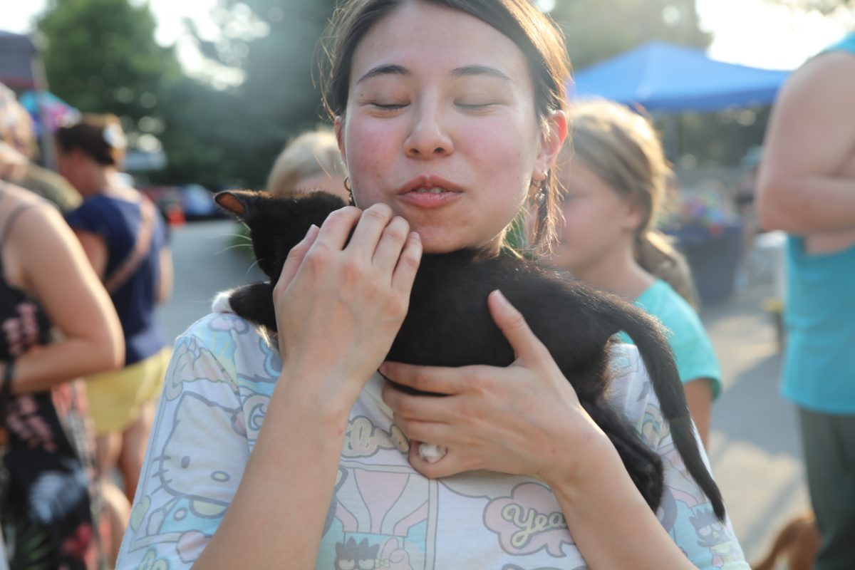 An adoptable kitten from Gateway Pet Guardians climbs around a "Pet Palooza" attendee.