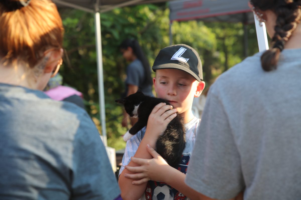 A young “Pet Palooza” attendee meets an adoptable kitten from Gateway Pet Guardians.