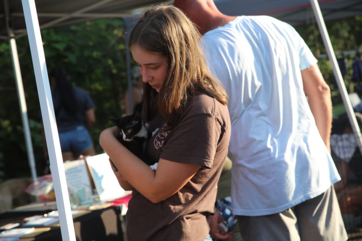 An adoptable kitten snuggles into the arms of a "Pet Palooza" attendee.