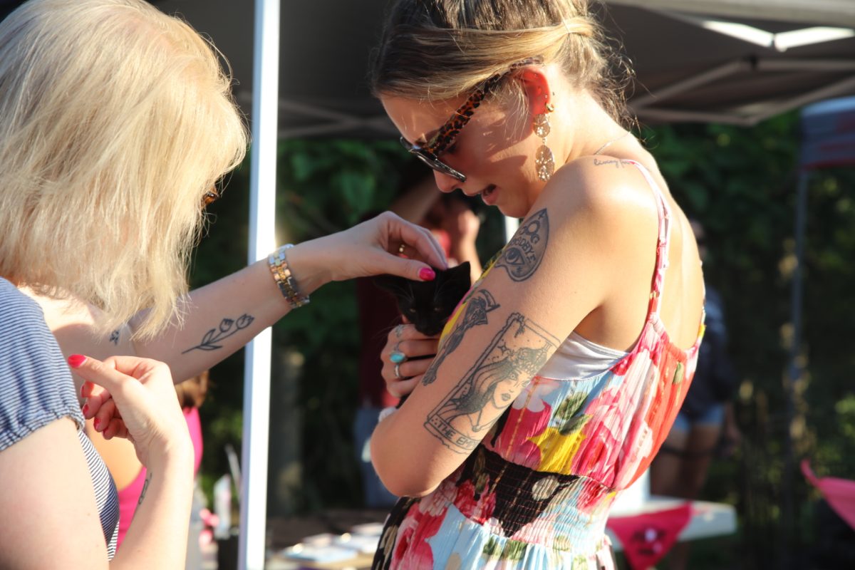 A “Pet Palooza” attendee meets an adoptable kitten from Gateway Pet Guardians.