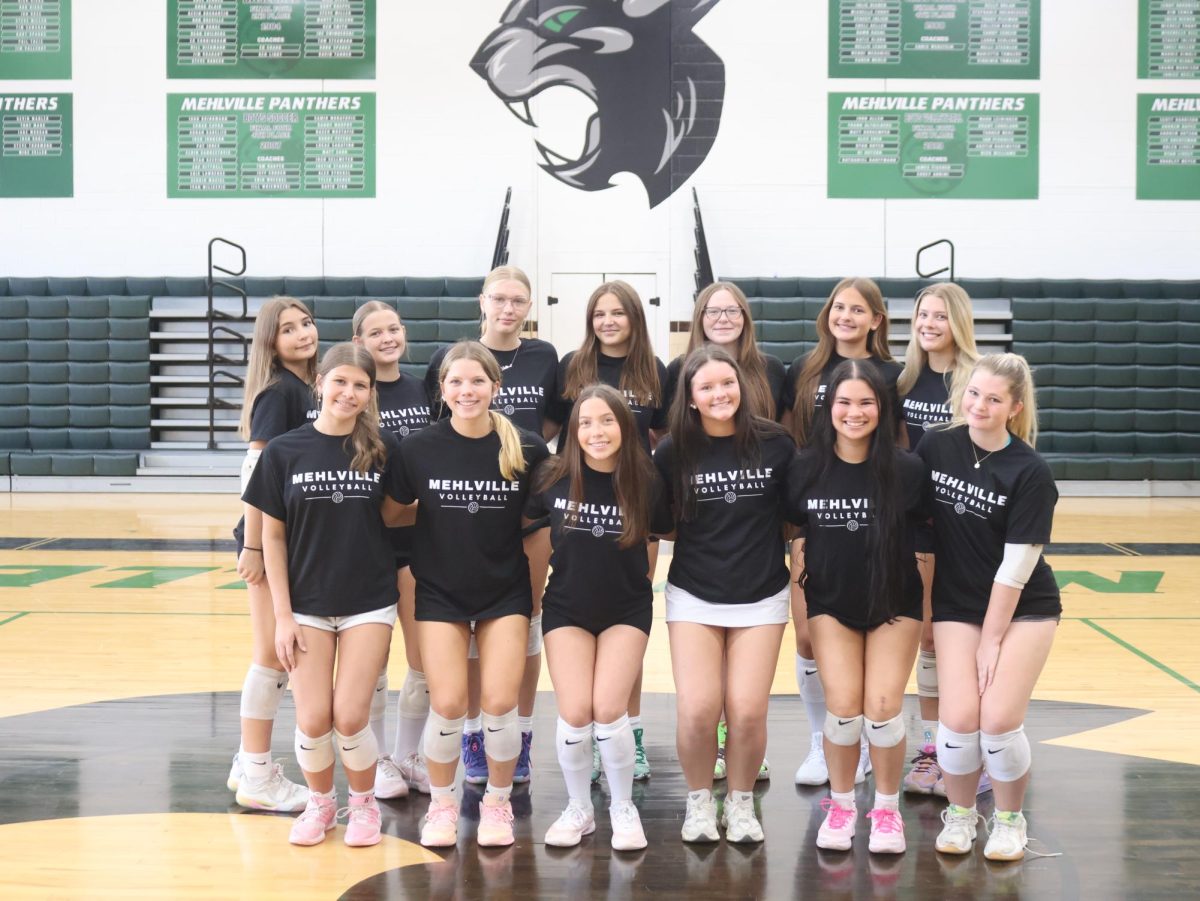The Mehlville girls volleyball team has just four seniors this season. Photo courtesy of the Mehlville School District.