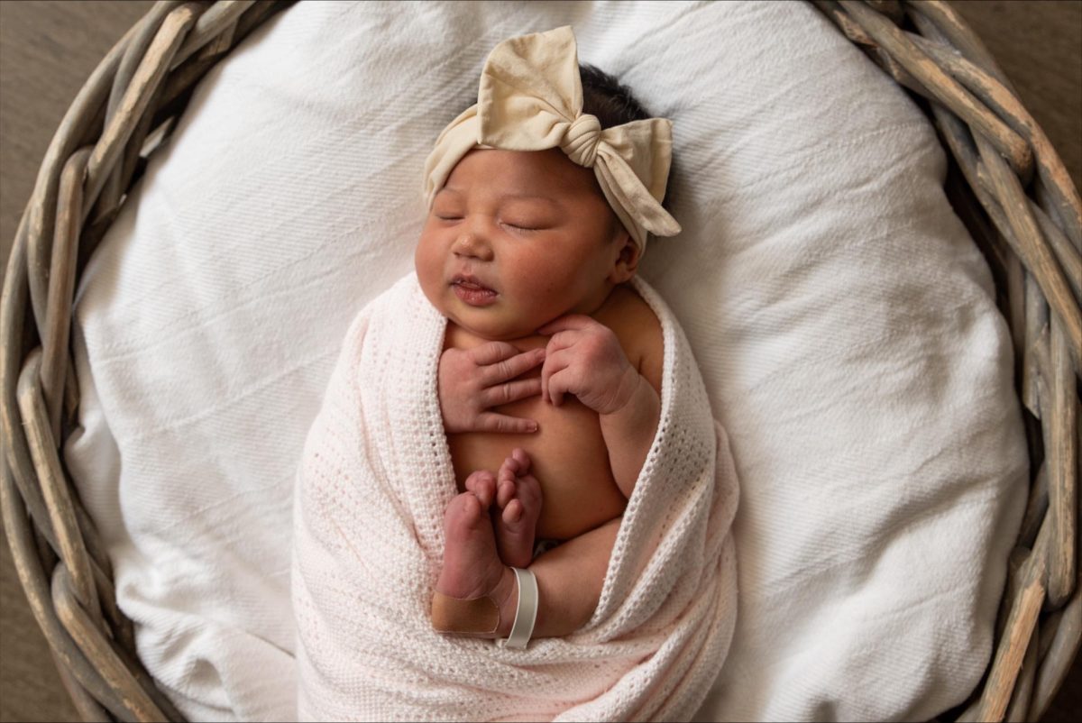 Evelyn Lourdes Creech