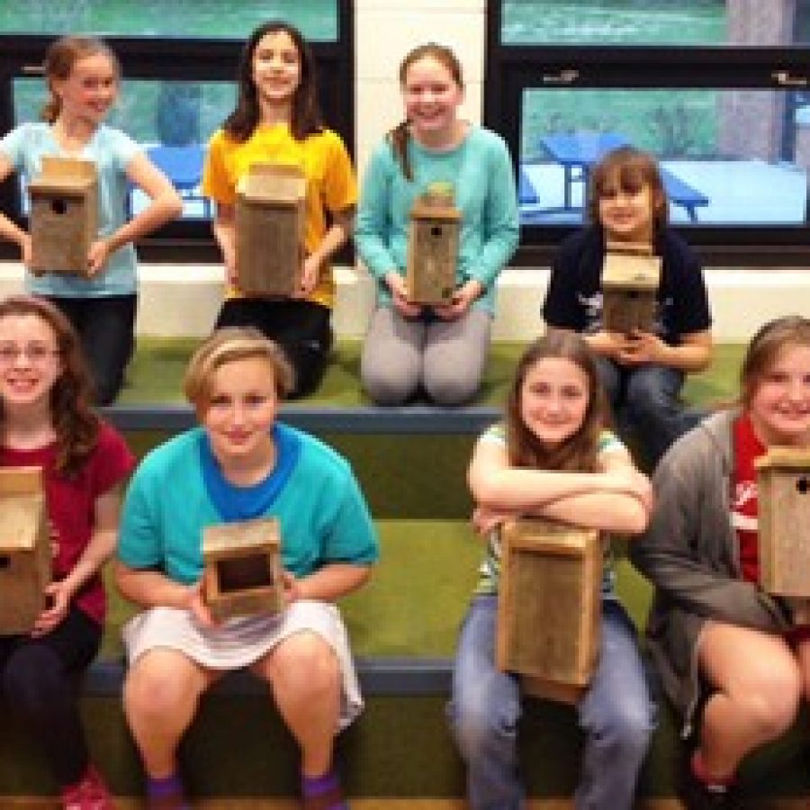 Crestwood Girl Scouts bring new life to outdoor learning area