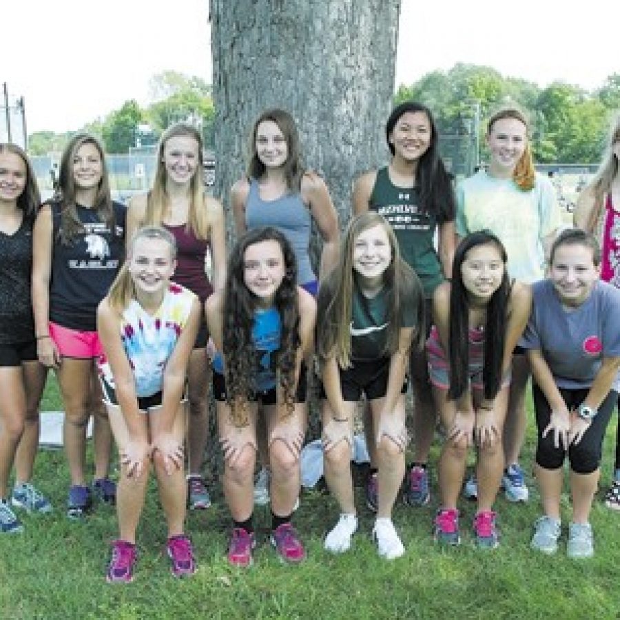 Mehlville High head coach Mark Ehlen is excited about the potential of his young girls cross-country team this year. Bill Milligan photo