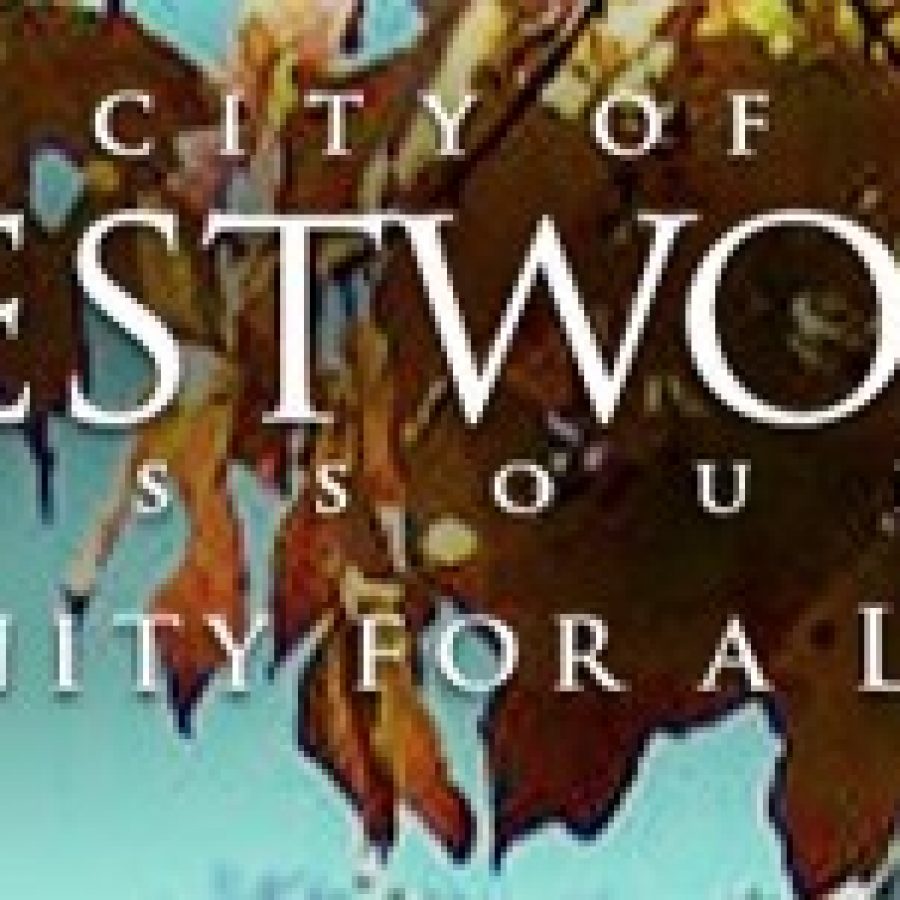 Crestwood Board of Aldermen conducts public hearing on citys proposed 2017 budget