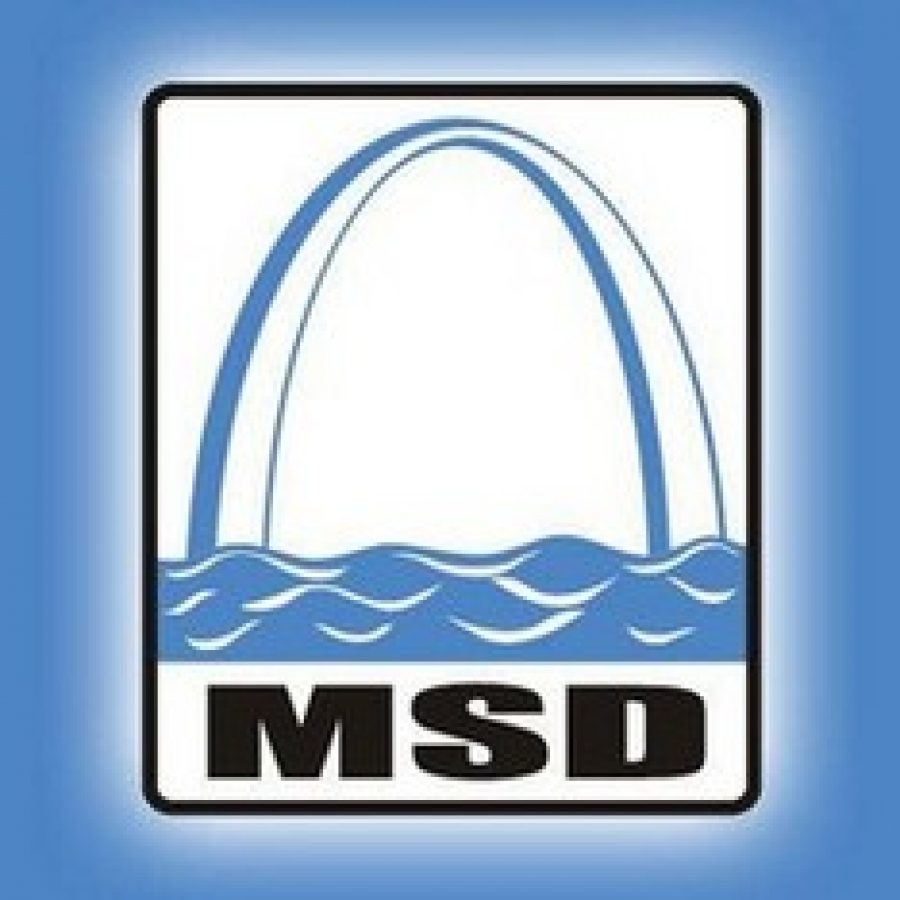 Two MSD proposals to be eyed by voters