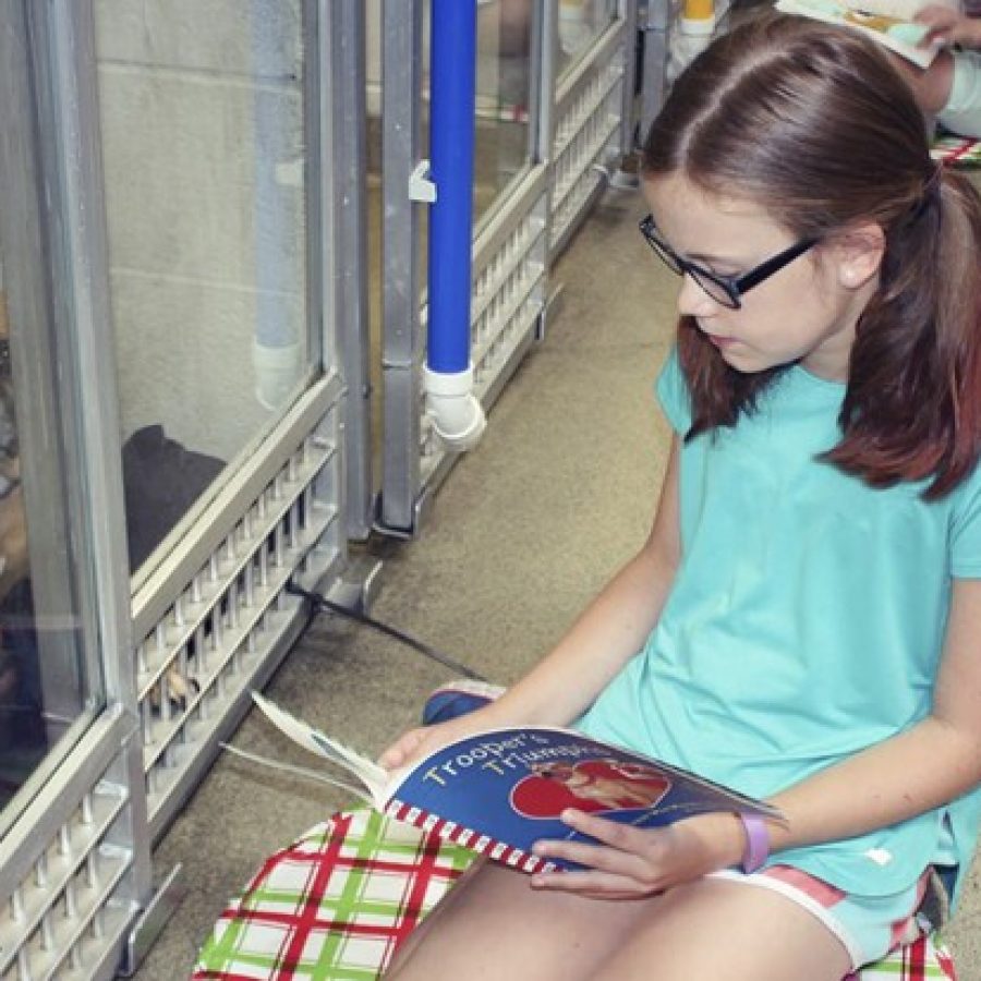 Kennerly students read to homeless dogs