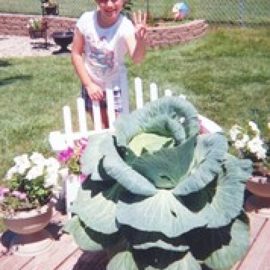 Stephanie Adams of Oakville proudly displays the cabbage she grew when her school participated in Bonnies Third-Grade Cabbage Program. 