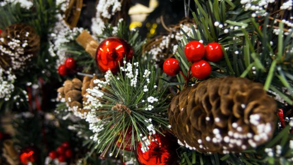 St. Louis County Parks hosting Christmas tree recycling program
