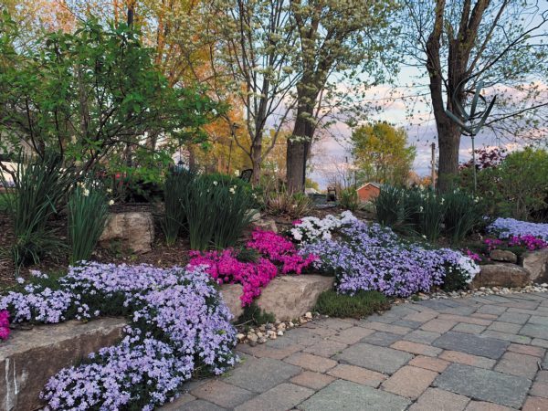 PHOTOS: Call Newspapers readers show off their beautiful gardens
