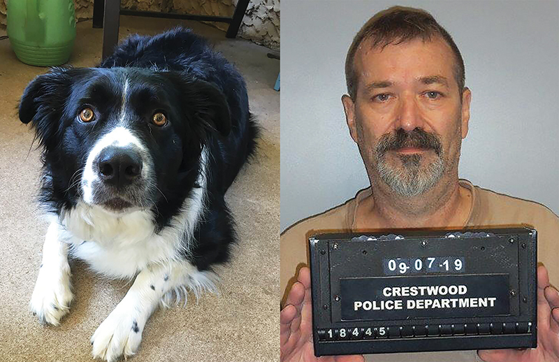 Crestwood+man+stabbed+neighbors+dog+to+death%2C+charges+say