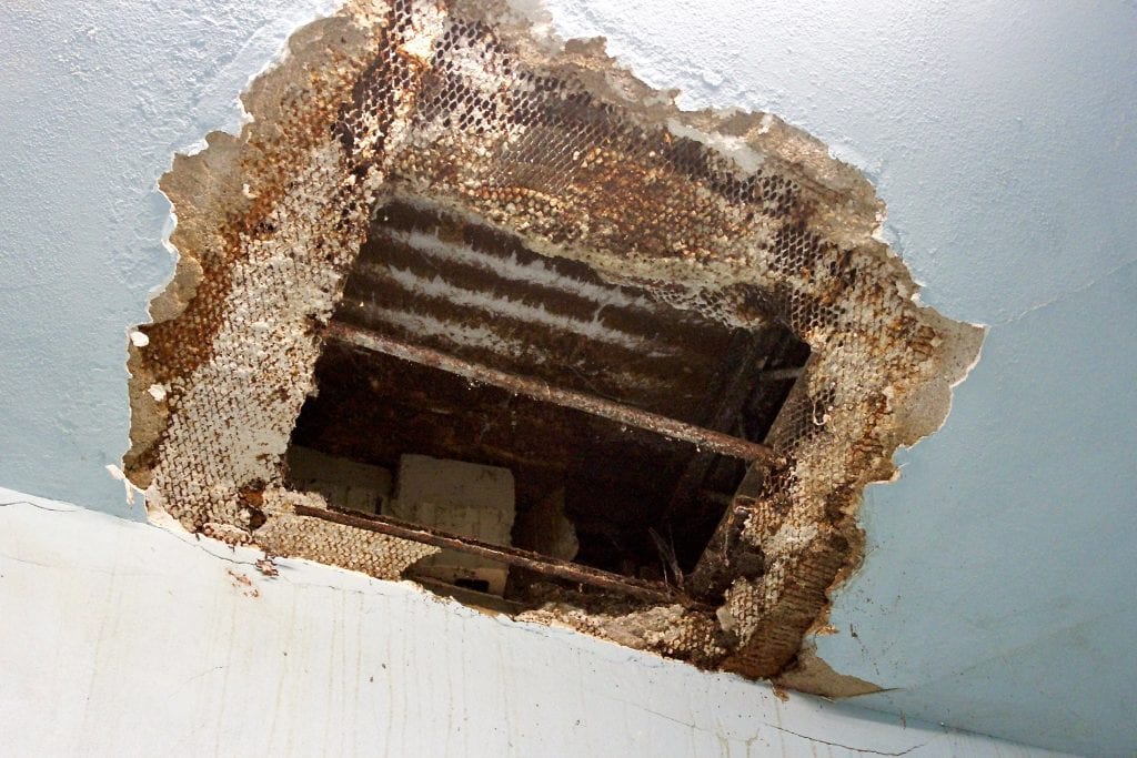 A+hole+underneath+a+stairwell.+A+tread+on+a+staircase+broke+and+had+to+be+replaced.+Photo+by+Erin+Achenbach.