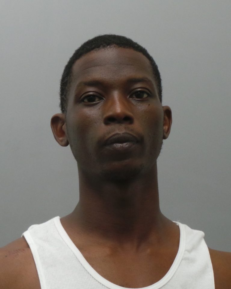 Police: Carjackers charged with murder after victim kills accomplice in ...