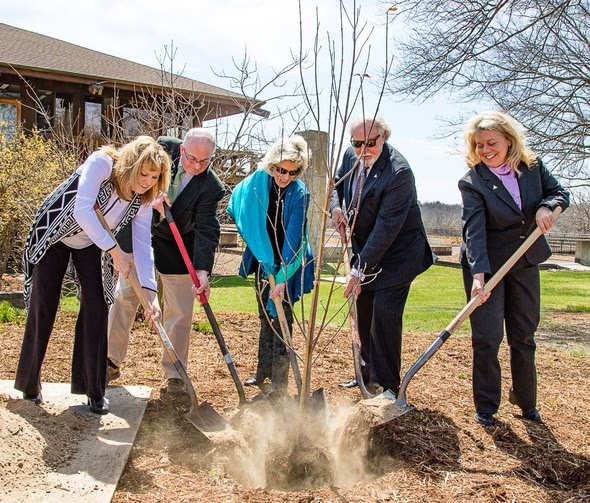 Plant a tree this year for Arbor Day