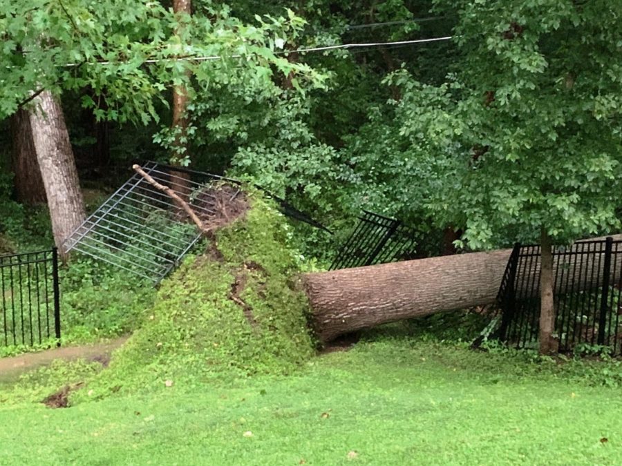 A tree fell on a pool in St. Louis County in storm damage Monday, Aug. 10, 2020.