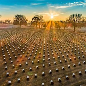 Decorated graves at Jefferson Barracks National Cemetery after Wreaths Across America in 2018.