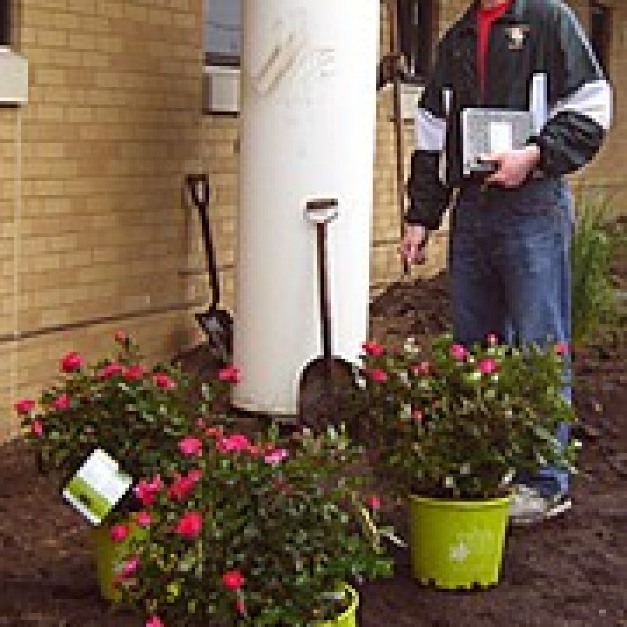 Eagle Scouts project blooms at Kennerly