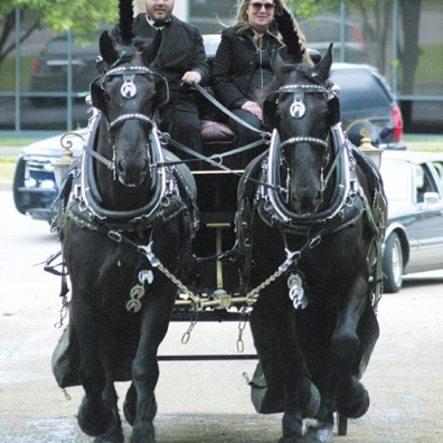 Horses Bart and Chuck lead the funeral procession for Mr. George J. Kunkel Sr. last week. Bill Milligan photo